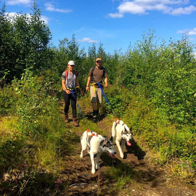 Fairbanks: Husky Hiking Tour - What to Expect from the Husky Hiking Tour