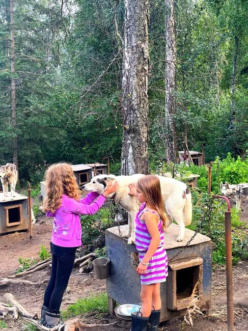 Fairbanks: Husky Hiking Tour - Pricing and Value