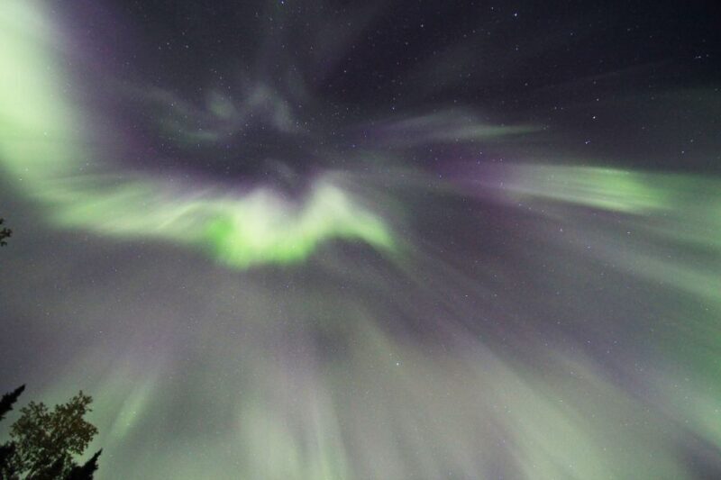 Fairbanks: Moonlight Dog Sled, Dinner & Northern Lights - Fairbanks: Moonlight Dog Sled, Dinner & Northern Lights — An Honest Review