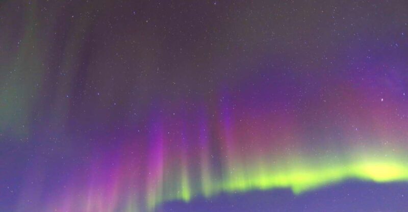 Fairbanks: Moonlight Dog Sled, Dinner & Northern Lights - An Overview of the Experience