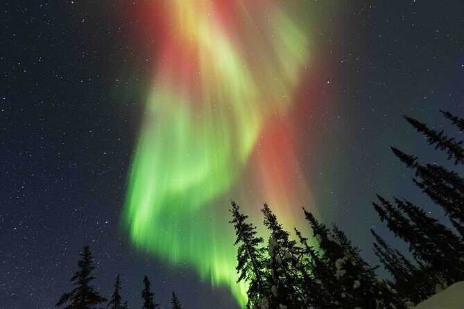 Fairbanks Northern Lights Adventure with free Aurora portraits - An Authentic Aurora Experience