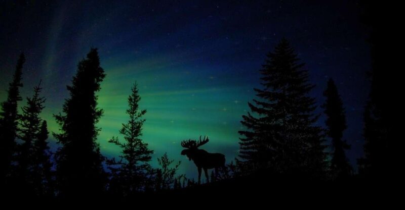 Fairbanks: Northern Lights and Chena Hot Springs Tour - A Deep Dive into the Experience