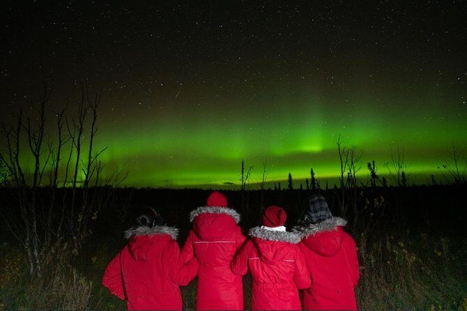 Fairbanks Northern Lights Tour - Key Points