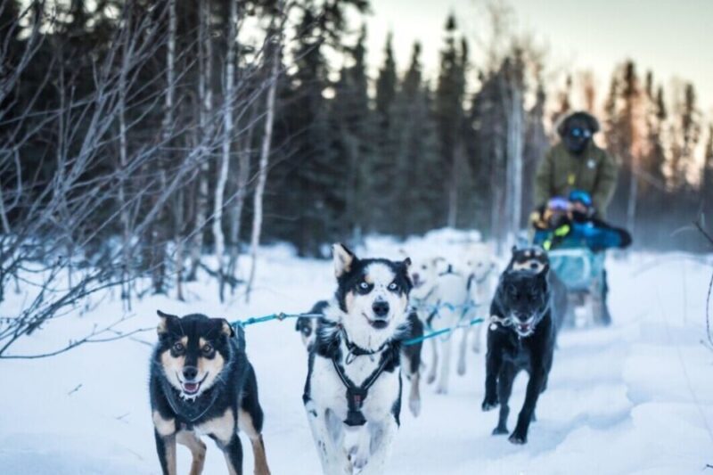Fairbanks: Private Mush on the Historic Yukon Quest Trail - Authenticity and Family-Friendly Aspects