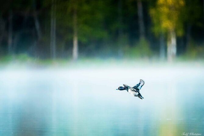 Fairbanks Private Photography Workshop - Key Points
