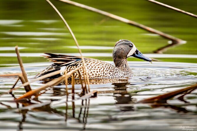 Fairbanks Private Photography Workshop - An In-Depth Look at the Fairbanks Private Photography Workshop