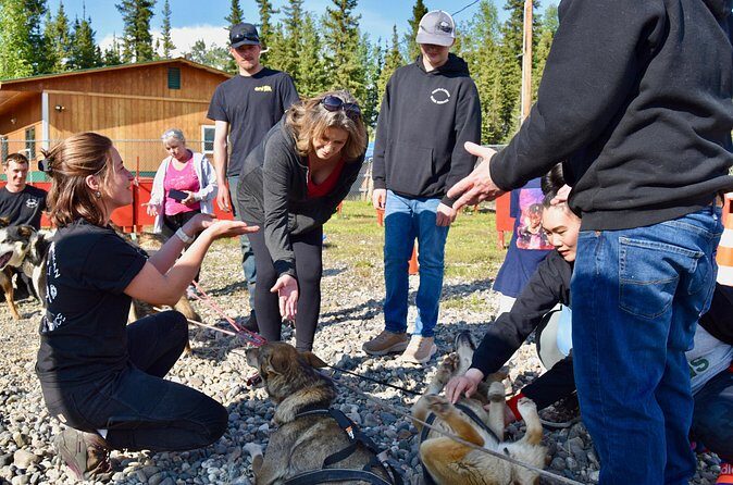 Fairbanks Sled Dog Adventure with Campfire & S'mores - Final Thoughts