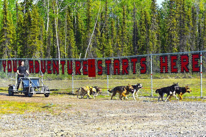 Fairbanks Sled Dog Adventure with Campfire & S'mores - FAQ