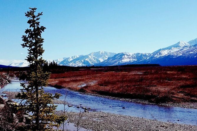 Fairbanks to Denali Shuttle Service - An Honest Look at the Fairbanks to Denali Shuttle Service