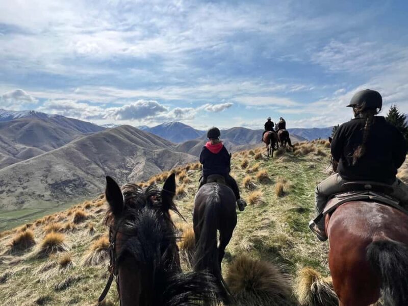 Fairlie, NZ: 5-Day Horse Adventure with Endless Mountains - Who Should Consider This Adventure?