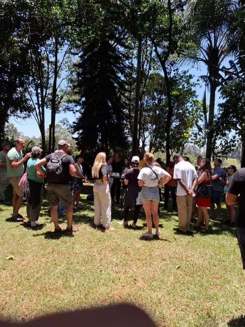 Fairview Coffee Estate day Tour - Exploring the Coffee Journey in Kenya