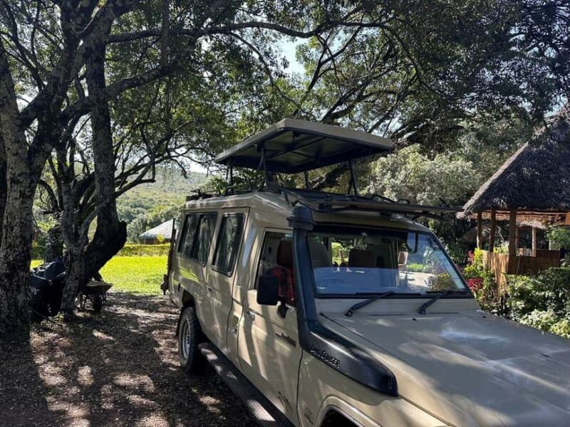 Fairview Coffee Farm Day Tour From Nairobi - Final Thoughts