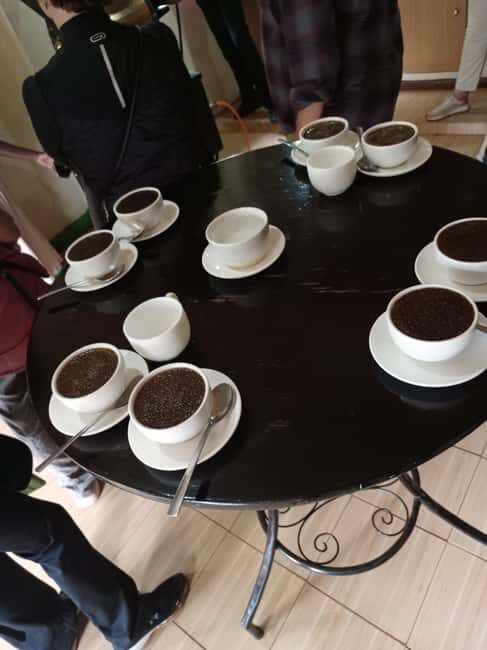 FAIRVIEW COFFEE FARM DAY TOUR - An In-Depth Look at the Fairview Coffee Farm Tour
