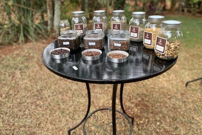 Fairview Estate Coffee Farm Tour With Pick up - FAQs