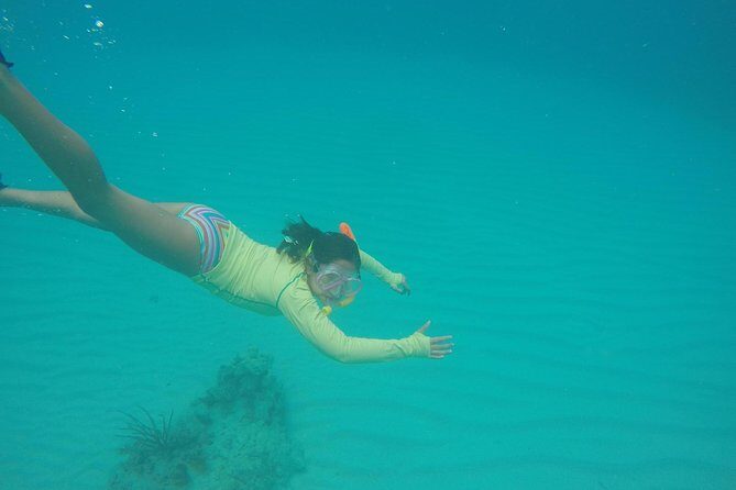 Fajardo Afternoon Snorkeling Adventure Tour - The Sum Up