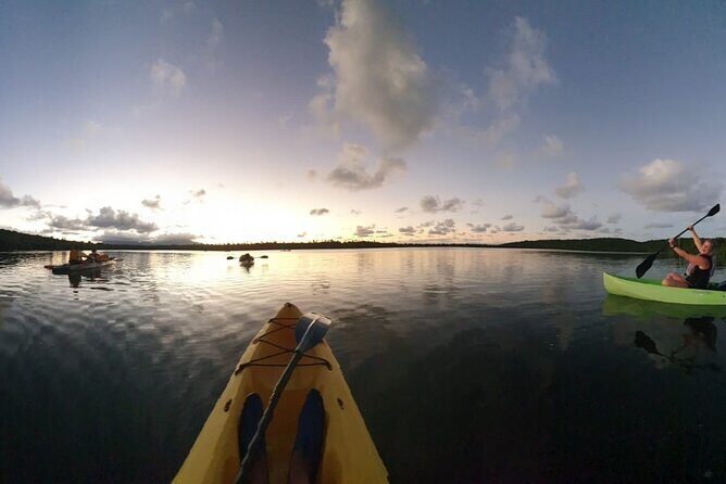 Fajardo Bioluminescent Bay Night Kayak Adventure from San Juan - A Detailed Look at the Tour Experience
