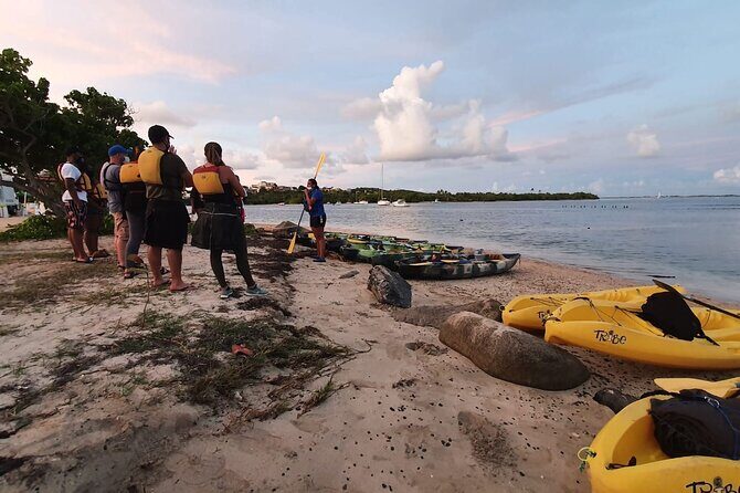 Fajardo Bioluminescent Bay Night Kayak Adventure from San Juan - FAQs