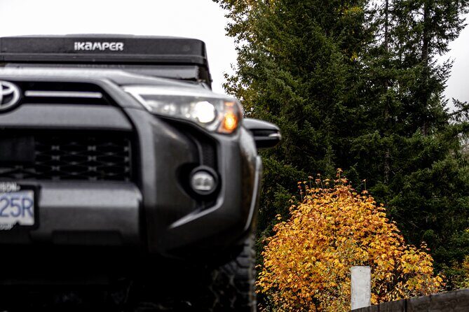 Fall Adventure Vancouver Island Grizzly Bears, High Tea and More - FAQs