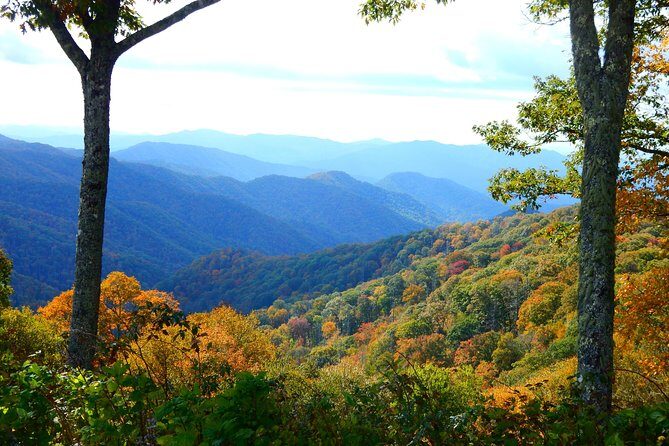 Fall Color Tour in the Smoky Mountains - Final Thoughts: Why Choose This Experience?