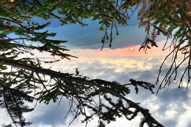 Fall Color Tour in the Smoky Mountains - FAQs