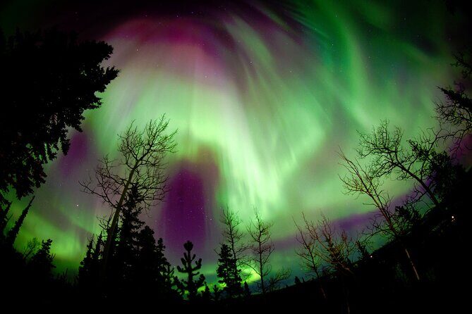 Fall Color Tour in Yukon from Whitehorse - What Sets This Tour Apart