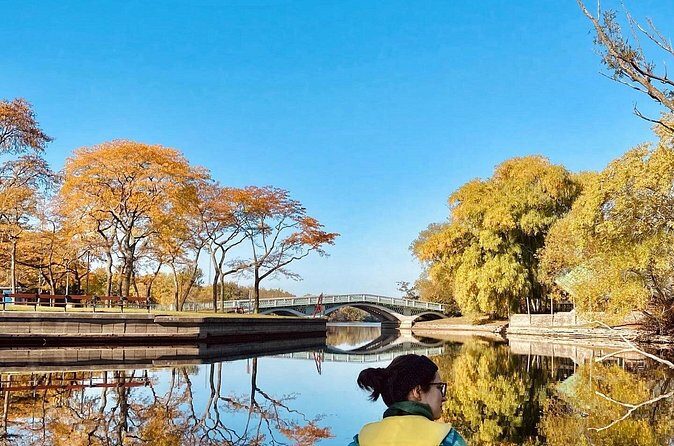 Fall Colours Canoe Tour on the Toronto Islands - The Sum Up