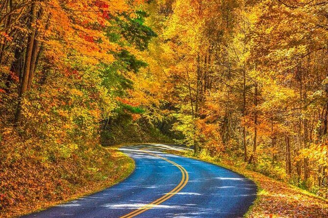 Fall Foliage Tour - Transportation and Comfort