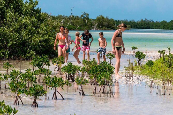Fall in love with the Holbox island tour, Punta Mosquito & lunch. - In-Depth Itinerary Breakdown