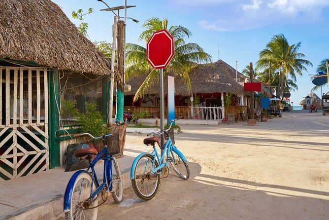 Fall in love with the Holbox island tour, Punta Mosquito & lunch. - The Sum Up