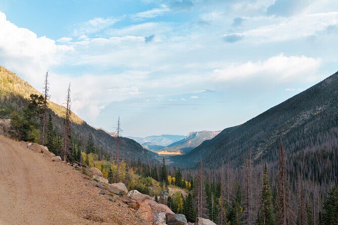 Fall Private Elk Rut Rocky Mountain National Park Tour - The Experience: What You Can Expect