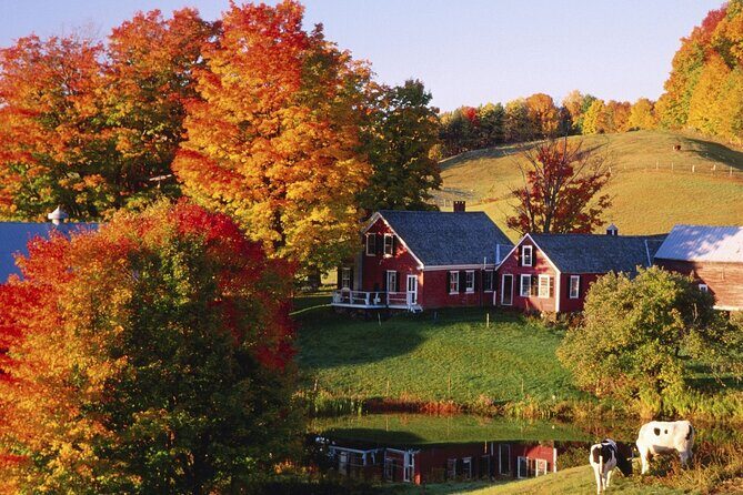 Fall Season, Vermont Maple Fall Foliage 2-Day Tour from New York - What’s Not Included