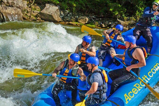 Fall Upper Gauley Full Day Whitewater Rafting - Who Should Consider This Experience?