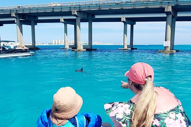Fall/ Winter Destin Harbor Sightseeing Dolphin Cruise - Frequently Asked Questions