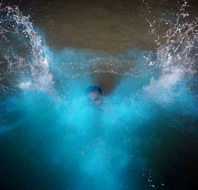 Falmouth: Luminous Lagoon Night Experience - Key Points