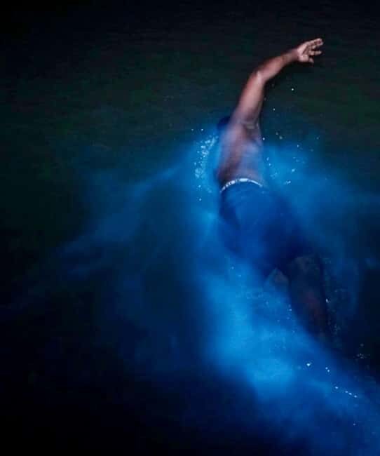 Falmouth: Luminous Lagoon Night Experience - An In-Depth Look at the Experience