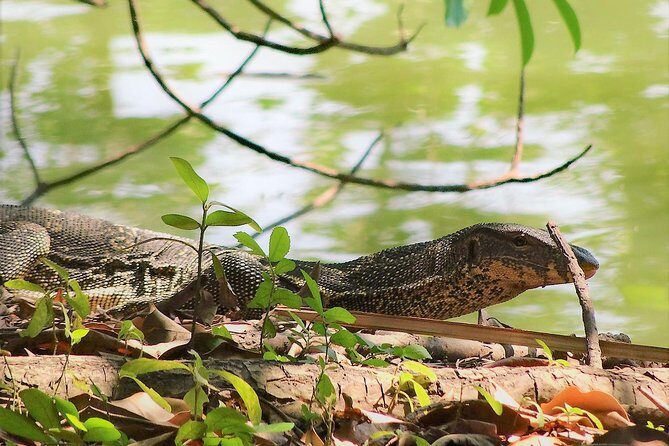 Family Bicycle Tour in the Green Oasis of Bangkok on Bamboo bikes - Practical Considerations and Tips