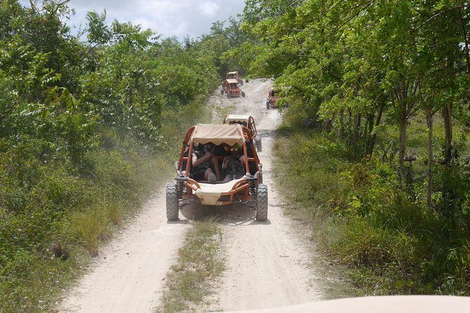 Family Buggy Adventure in Punta Cana - Authentic Experiences That Stand Out