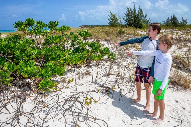 Family Catamaran & Snorkeling Cruise Turks & Caicos - Analyzing the Value