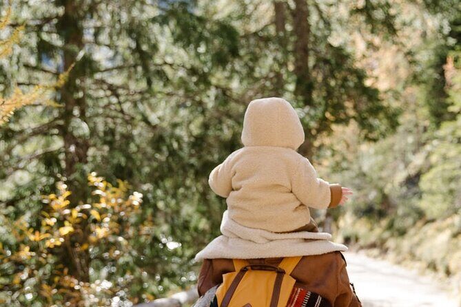 Family-Friendly Nature Hike around the Big Bear Valley - What to Expect on the Trail
