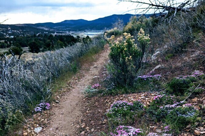 Family-Friendly Nature Hike around the Big Bear Valley - Practical Tips for Travelers
