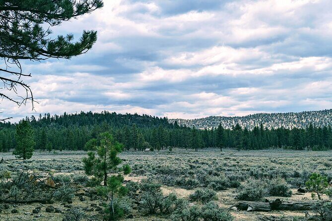 Family-Friendly Nature Hike around the Big Bear Valley - FAQ