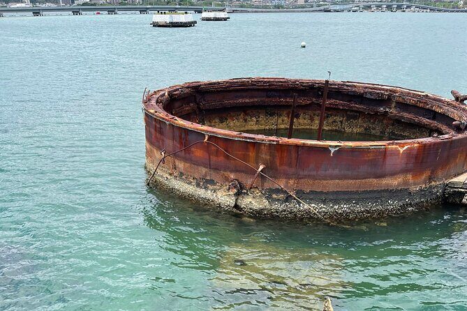 Family-friendly Pearl Harbor and Honolulu Downtown with private transportation - Who Would Enjoy This Tour Most?