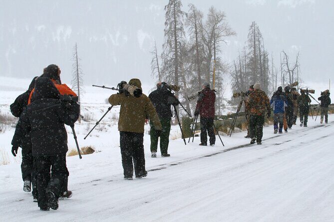 Family Friendly Private Tour at Yellowstone National Park w/Lunch - Who Should Consider This Tour?