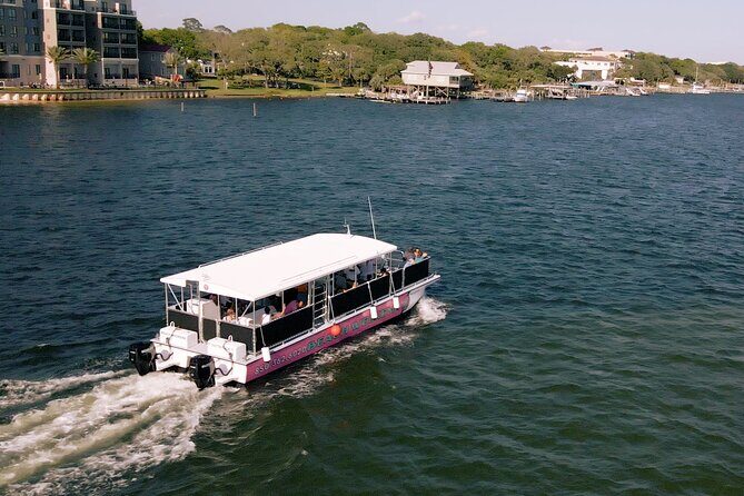 Family-Friendly Snorkeling and Dolphin Tour from FWB - Key Points