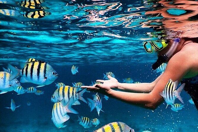 Family Fun-Snorkeling with Lunch Stop from Montego Bay - Key Points