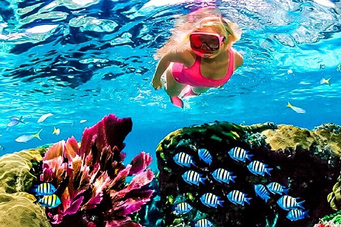 Family Fun-Snorkeling with Lunch Stop from Montego Bay - An In-Depth Look at the Tour Experience