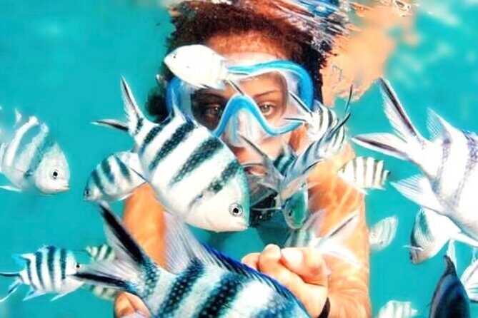 Family Fun-Snorkeling with Lunch Stop from Montego Bay - What Could Be Better?