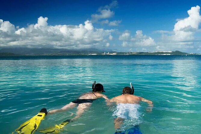 Family Fun-Snorkeling with Lunch Stop from Montego Bay - Final Thoughts: Who Would Love This Tour?