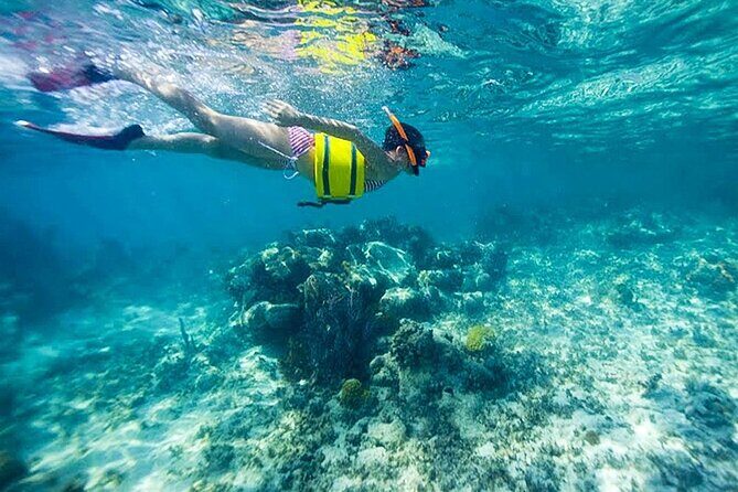 Family Fun-Snorkeling with Lunch Stop from Montego Bay - FAQ