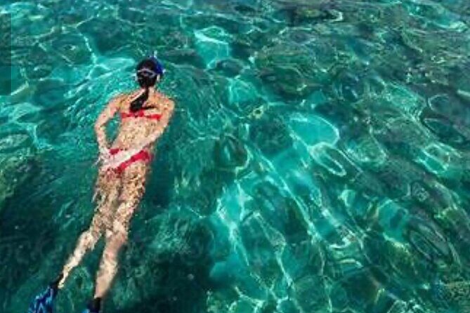 Family Fun-Snorkeling with Lunch Stop from Montego Bay - In Summary